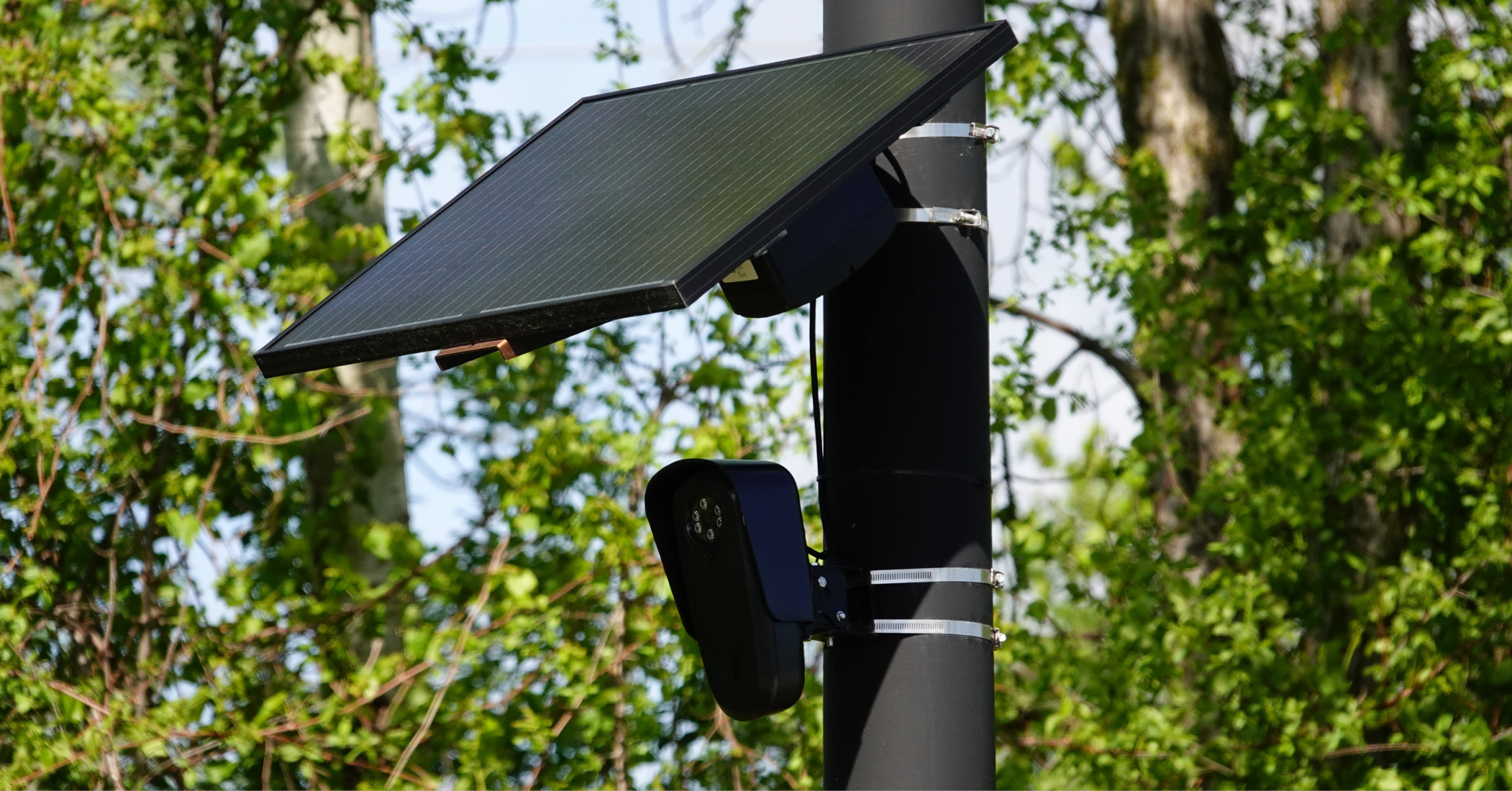 Automated License Plate Reader